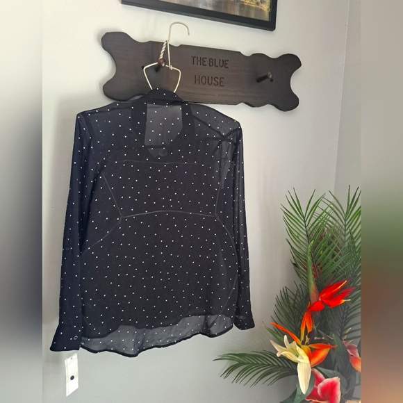 Sophie Rue Sheer Blouse Buttons, Polka Dots Sz Small #New - Picture 5 of 7